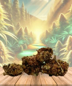 Alternative view of Flor de CBD Harlequin, 15 Gramas