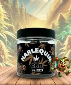 Flor de CBD Harlequin, 15 Gramas