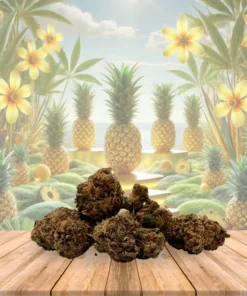 Alternative view of Flor de CBD Pineapple Express, 15 Gramas