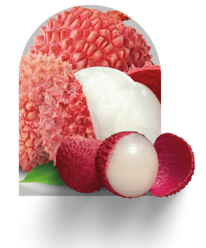 Smyrna -LYCHEE ( LICHIA)