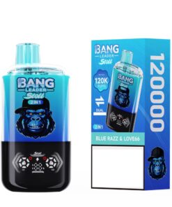 BANG LEADER 120k Puffs – Mirtilo e Lov66