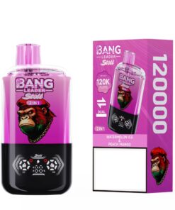 BANG LEADER 120k Puffs - Melancia Menta e Pêssego Manga