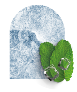 StarBuzz - Menta - 250g