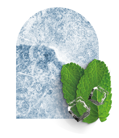 StarBuzz - Menta - 250g