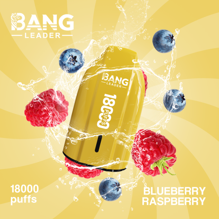 Bang Leader 18000 Vape Descartável | Framboesa e Mirtilo